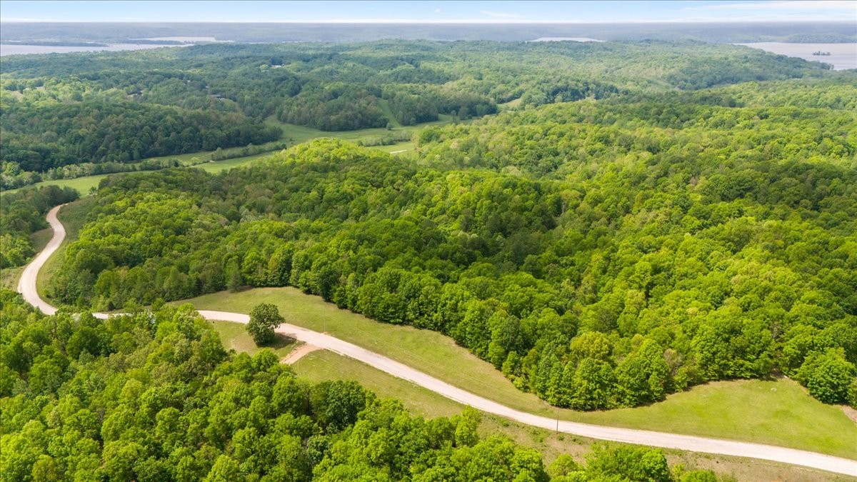 3200 Jack Saunders Road Waverly, TN 37185 - Photo 25 of 38 a view of a back yard