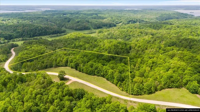 a view of a field with an ocean view