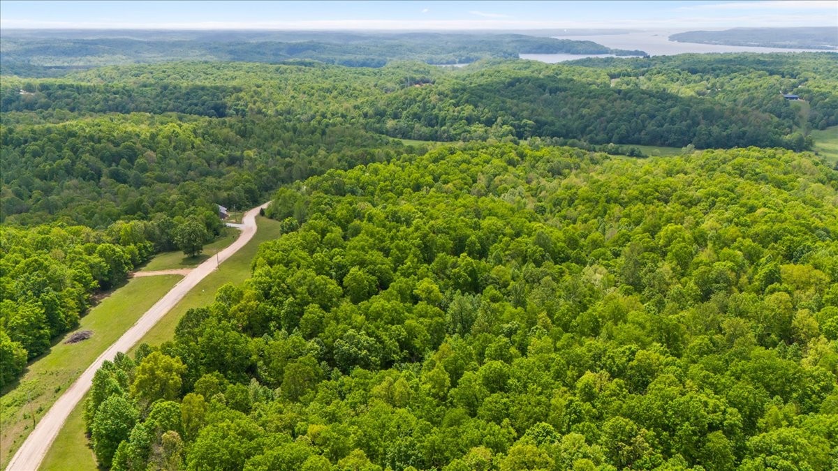 3200 Jack Saunders Road Waverly, TN 37185 - Photo 28 of 38 a view of a lush green forest with a mountain in the background