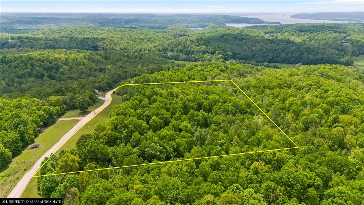 3200 Jack Saunders Road Waverly, TN 37185 - Photo 29 of 38 a view of a field