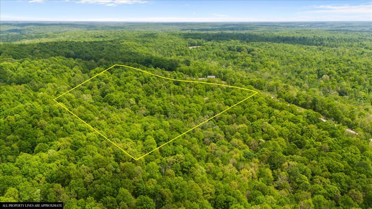 3200 Jack Saunders Road Waverly, TN 37185 - Photo 30 of 38 a view of a field with an ocean view