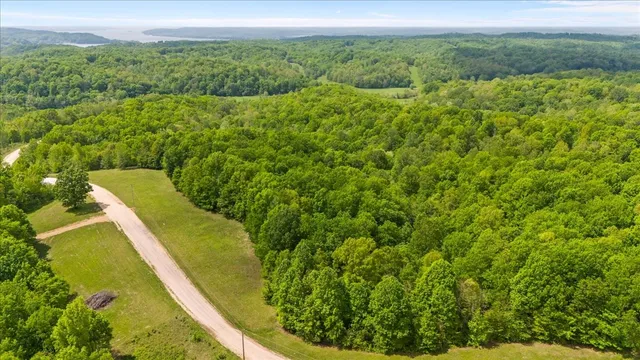 a view of a yard with swimming pool