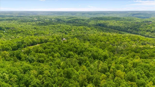 a view of entrance gate of building and trees