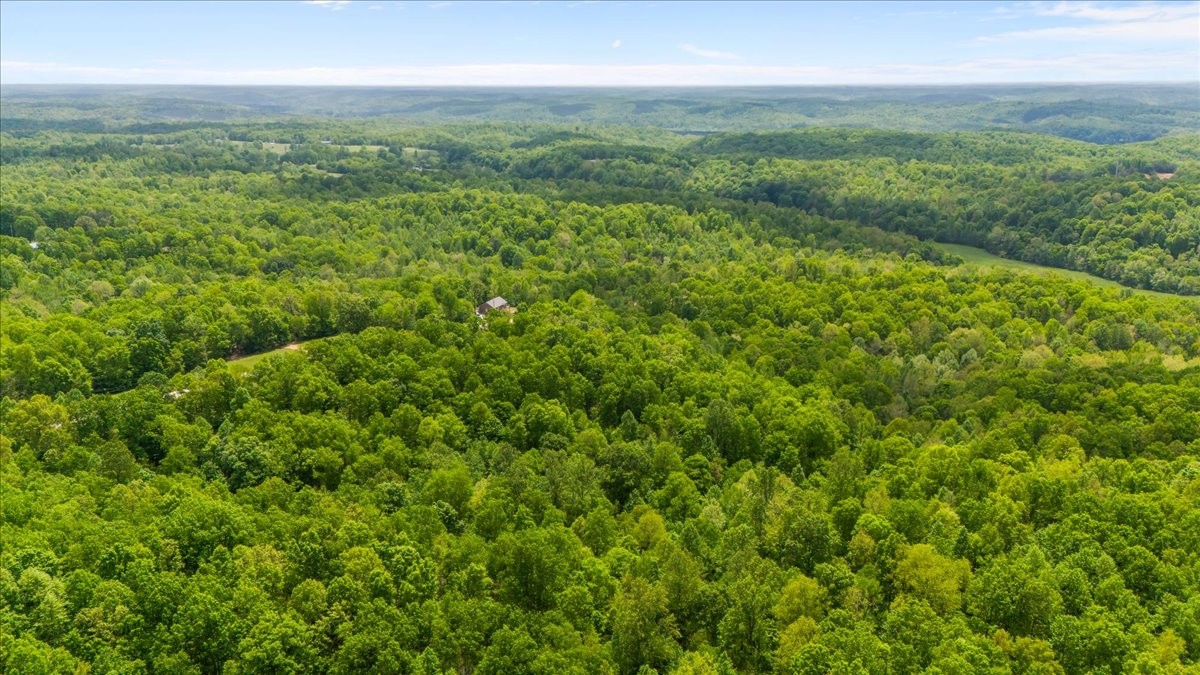 3200 Jack Saunders Road Waverly, TN 37185 - Photo 32 of 38