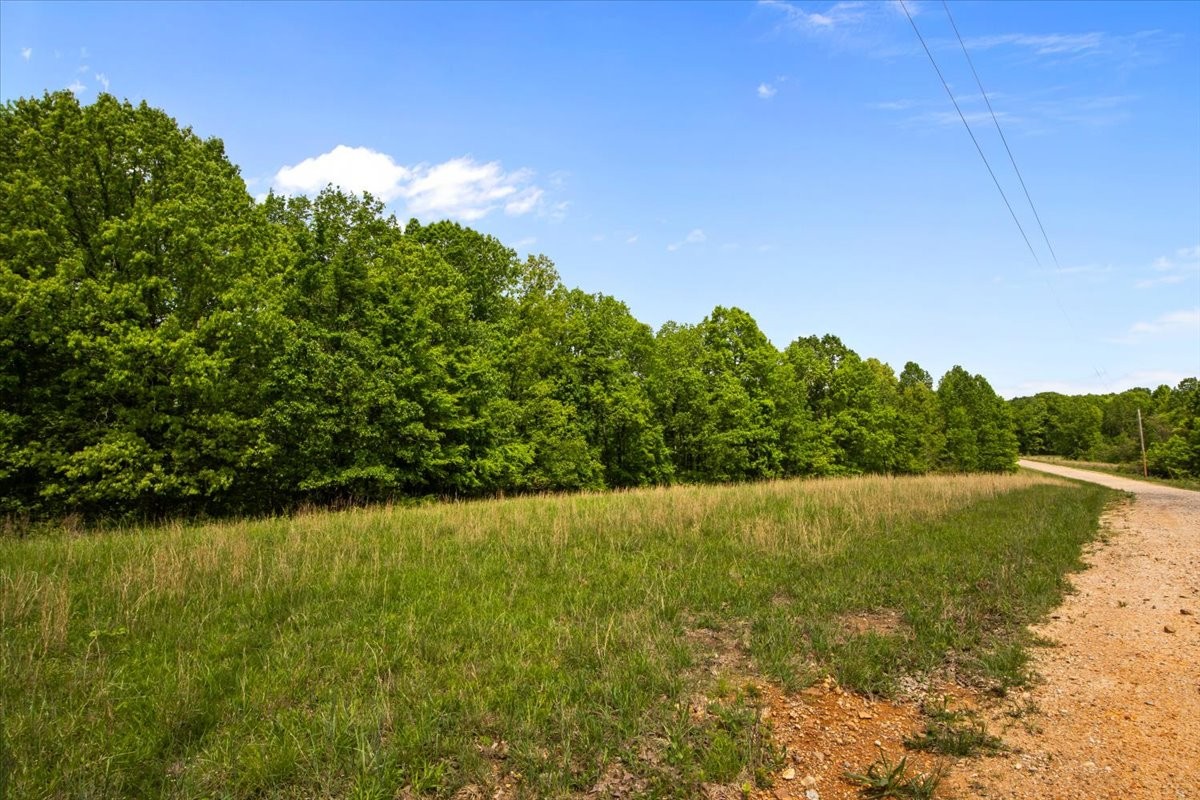 3200 Jack Saunders Road Waverly, TN 37185 - Photo 34 of 38 a view of lake view and mountain view