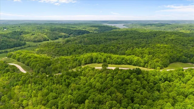 a view of a field with an ocean