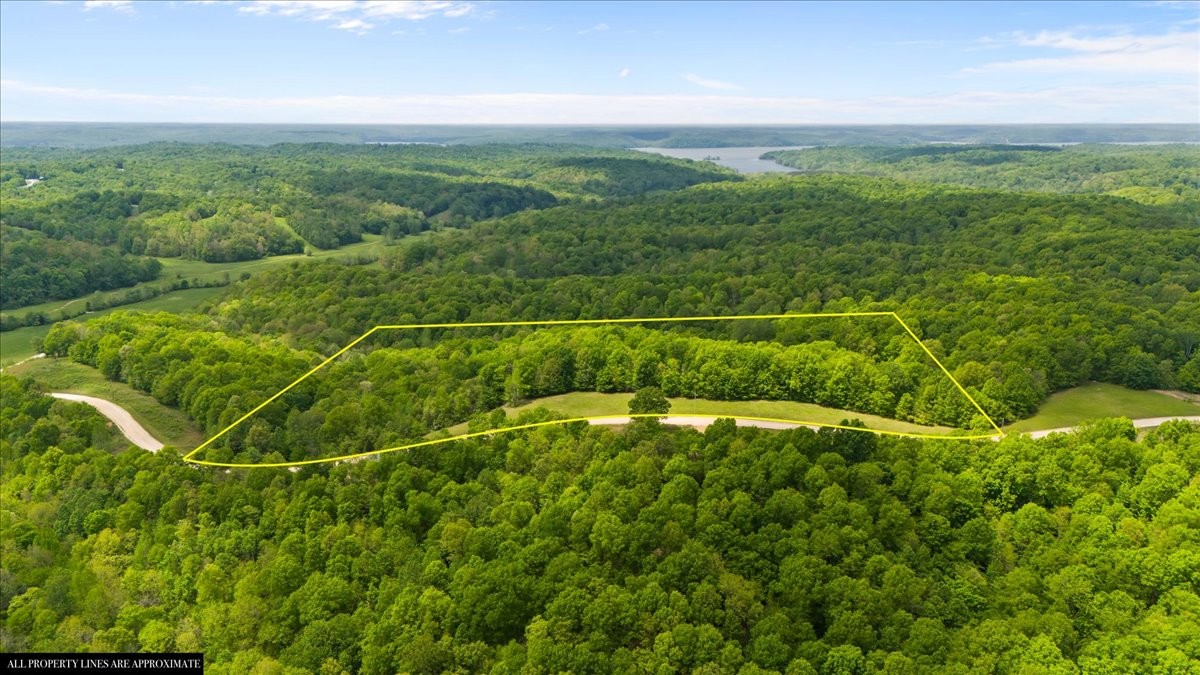 3200 Jack Saunders Road Waverly, TN 37185 - Photo 6 of 38 a view of a field with an ocean