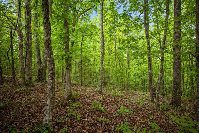 a view of a yard with an outdoor seating