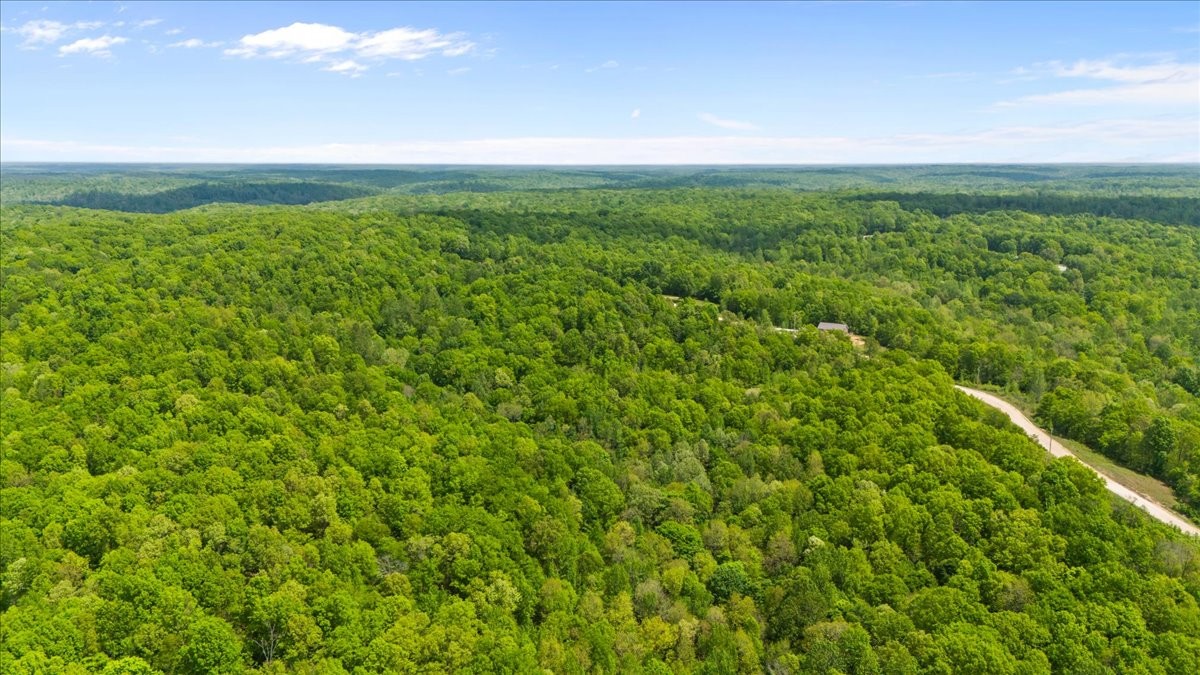 3200 Jack Saunders Road Waverly, TN 37185 - Photo 10 of 38