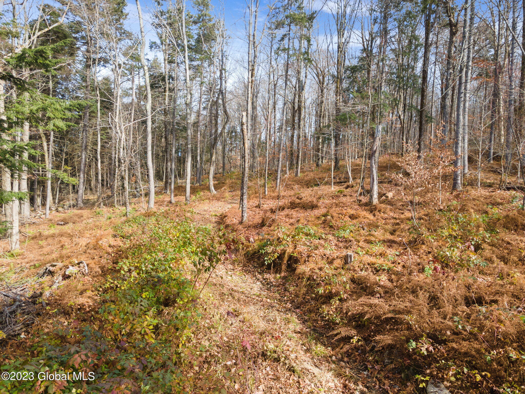 1134 Enid Road Summit, NY 12175 - Photo 5 of 12 6-web-or-mls-1138EnidRd_06