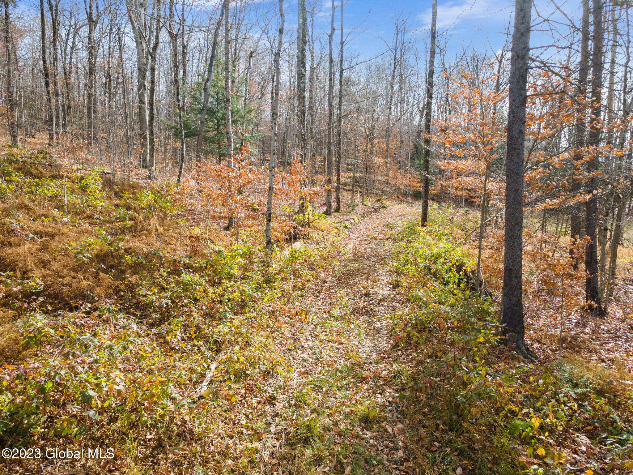 1134 Enid Road Summit, NY 12175 - Photo 6 of 12 7-web-or-mls-1138EnidRd_07