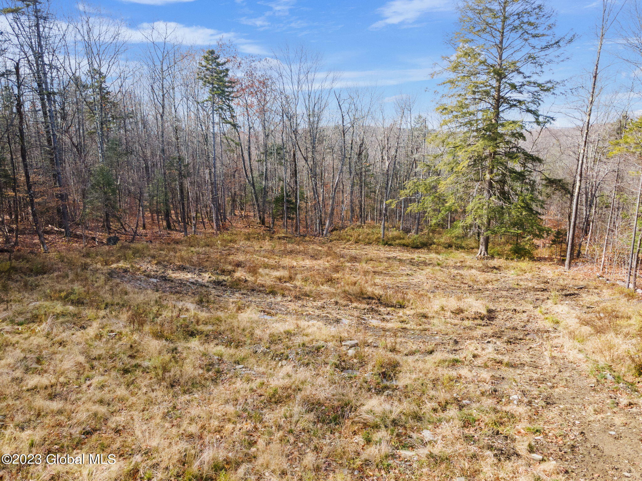 1134 Enid Road Summit, NY 12175 - Photo 8 of 12 11-web-or-mls-1138EnidRd_11