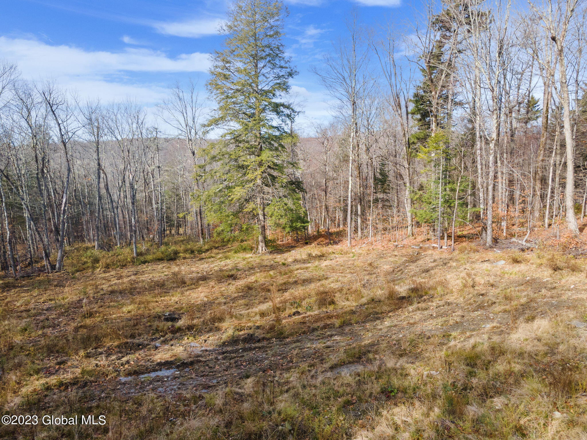 1134 Enid Road Summit, NY 12175 - Photo 9 of 12 12-web-or-mls-1138EnidRd_12