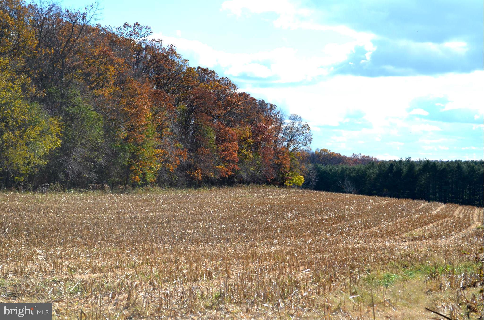 72 Oakland Road Freeland, MD 21053 - Photo 4 of 12 a view of dirt field with mountain view