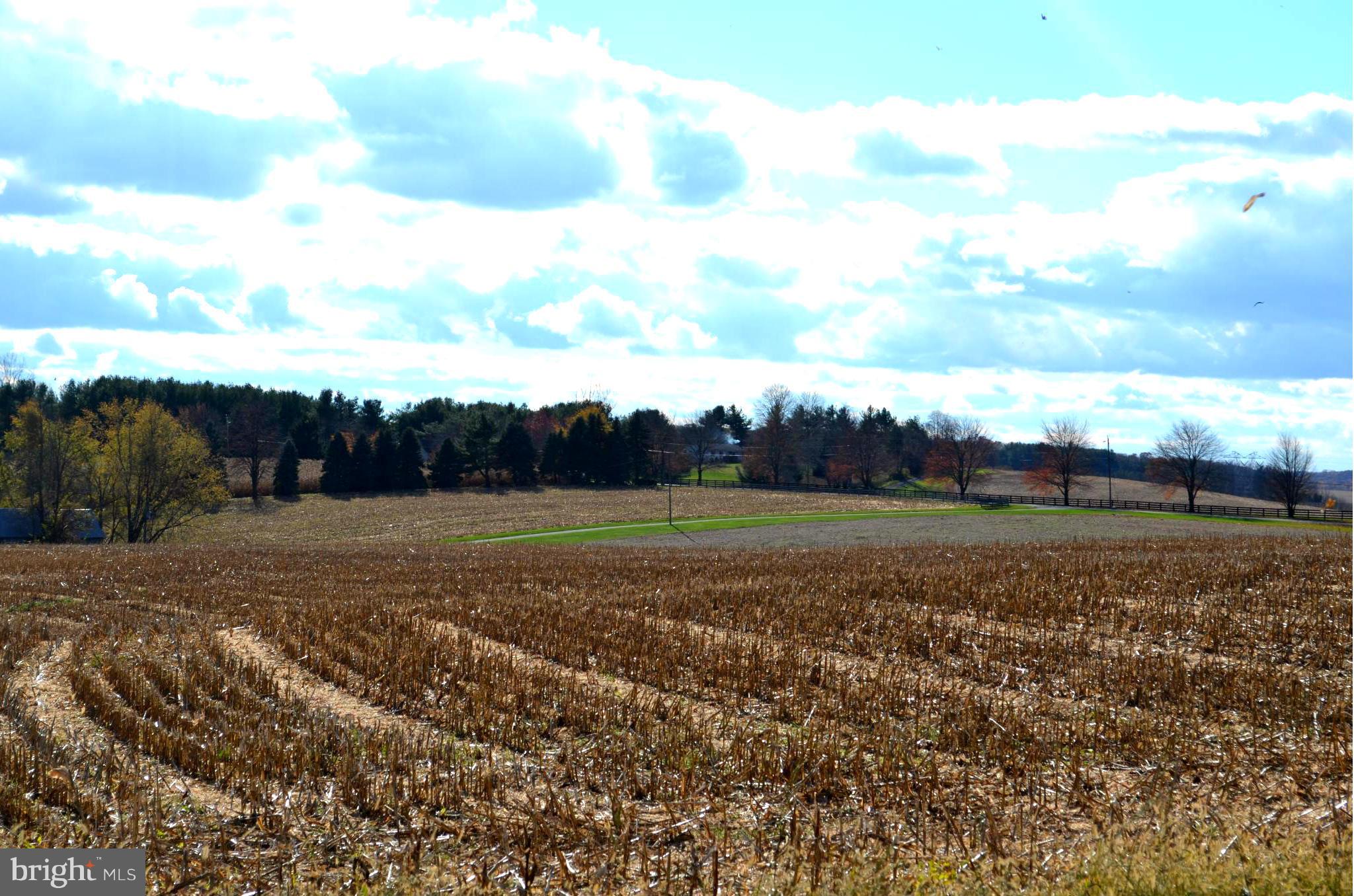 72 Oakland Road Freeland, MD 21053 - Photo 5 of 12 a view of a field