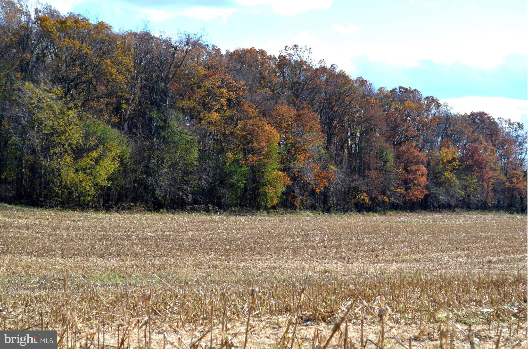 72 Oakland Road Freeland, MD 21053 - Photo 6 of 12 a view of empty field with trees