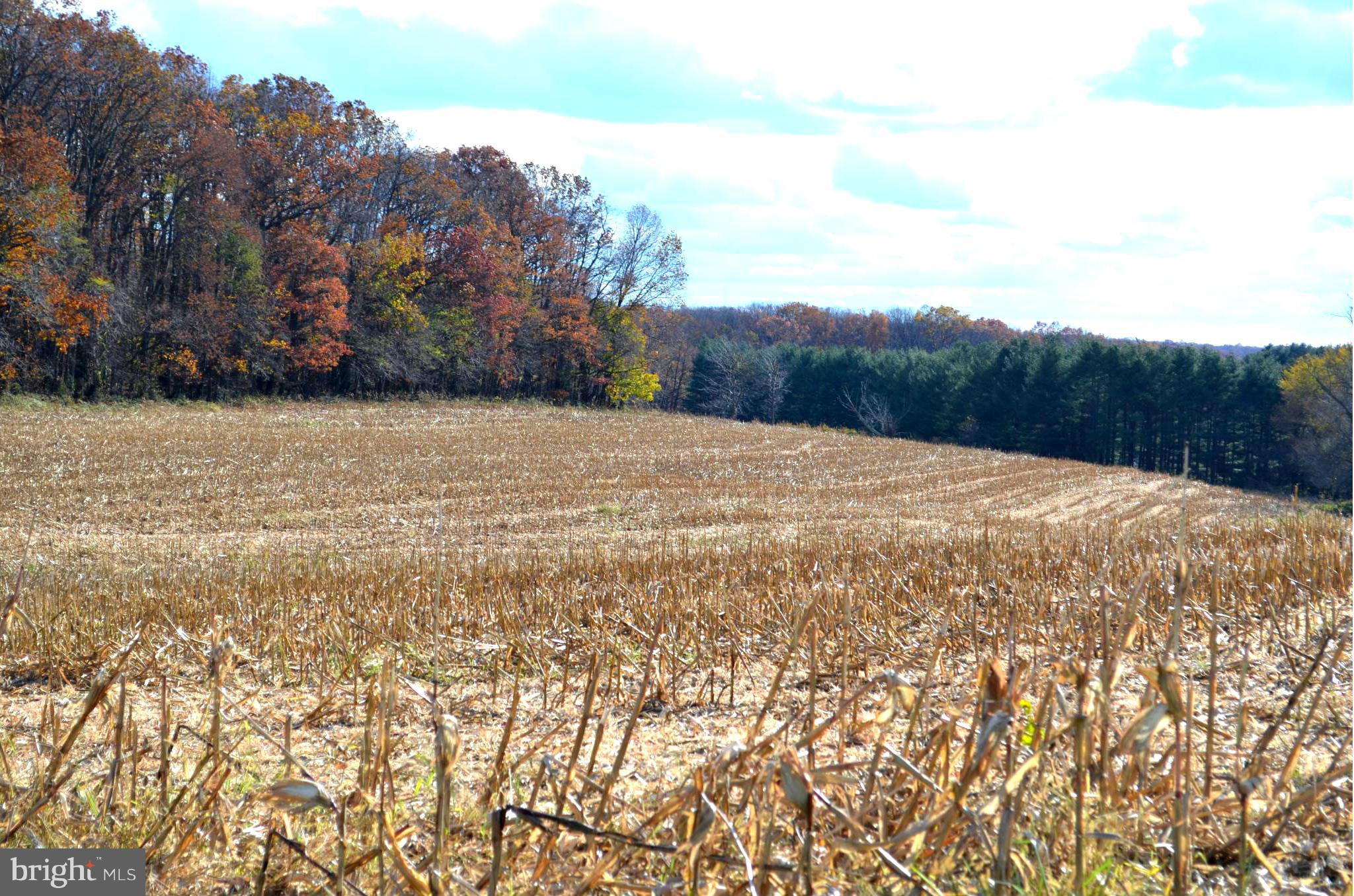 72 Oakland Road Freeland, MD 21053 - Photo 7 of 12 a view of dirt field with mountain view