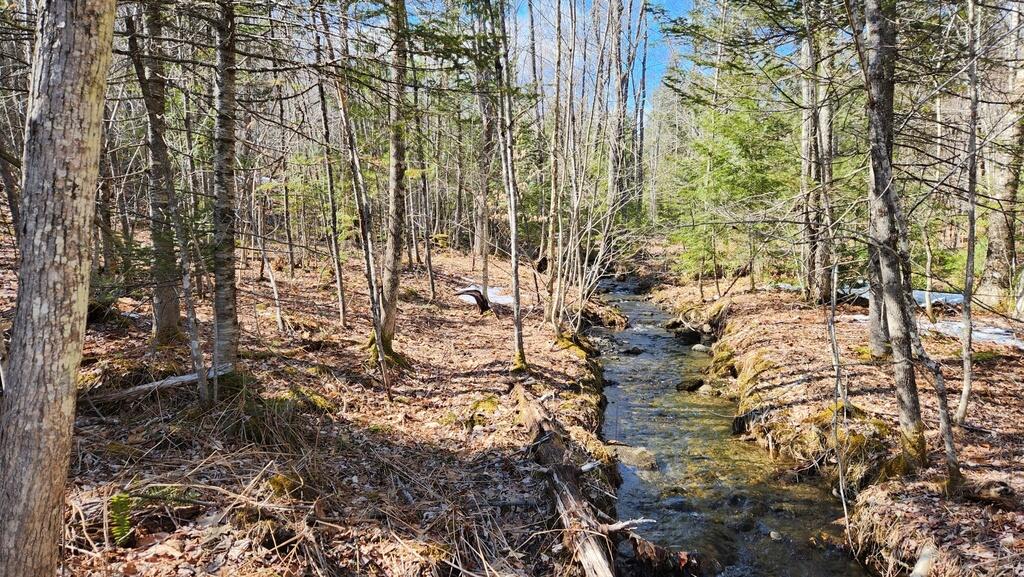 Lot 28 Adams Road Chesterville, ME 04938 - Photo 22 of 37 20250409_151952_resized_1