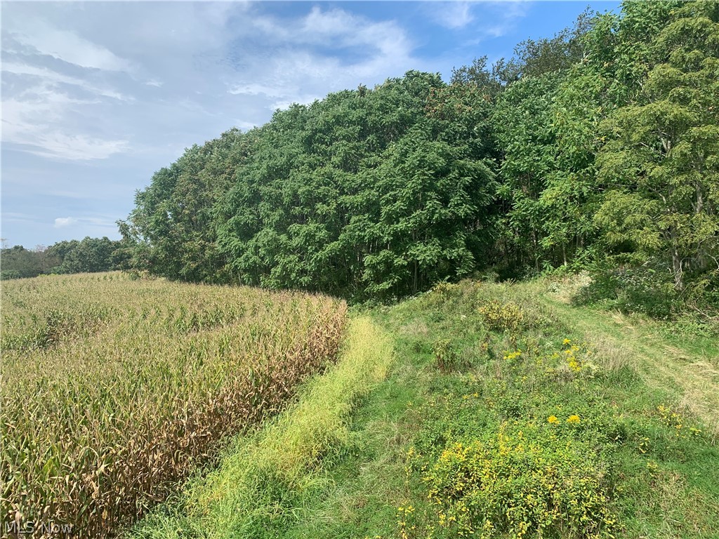 Deibel Road Southwest Stone Creek, OH 43840 - Photo 28 of 35 Gallery Image 28