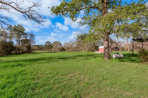 a view of yard with tree s