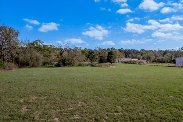 a view of a field with an trees