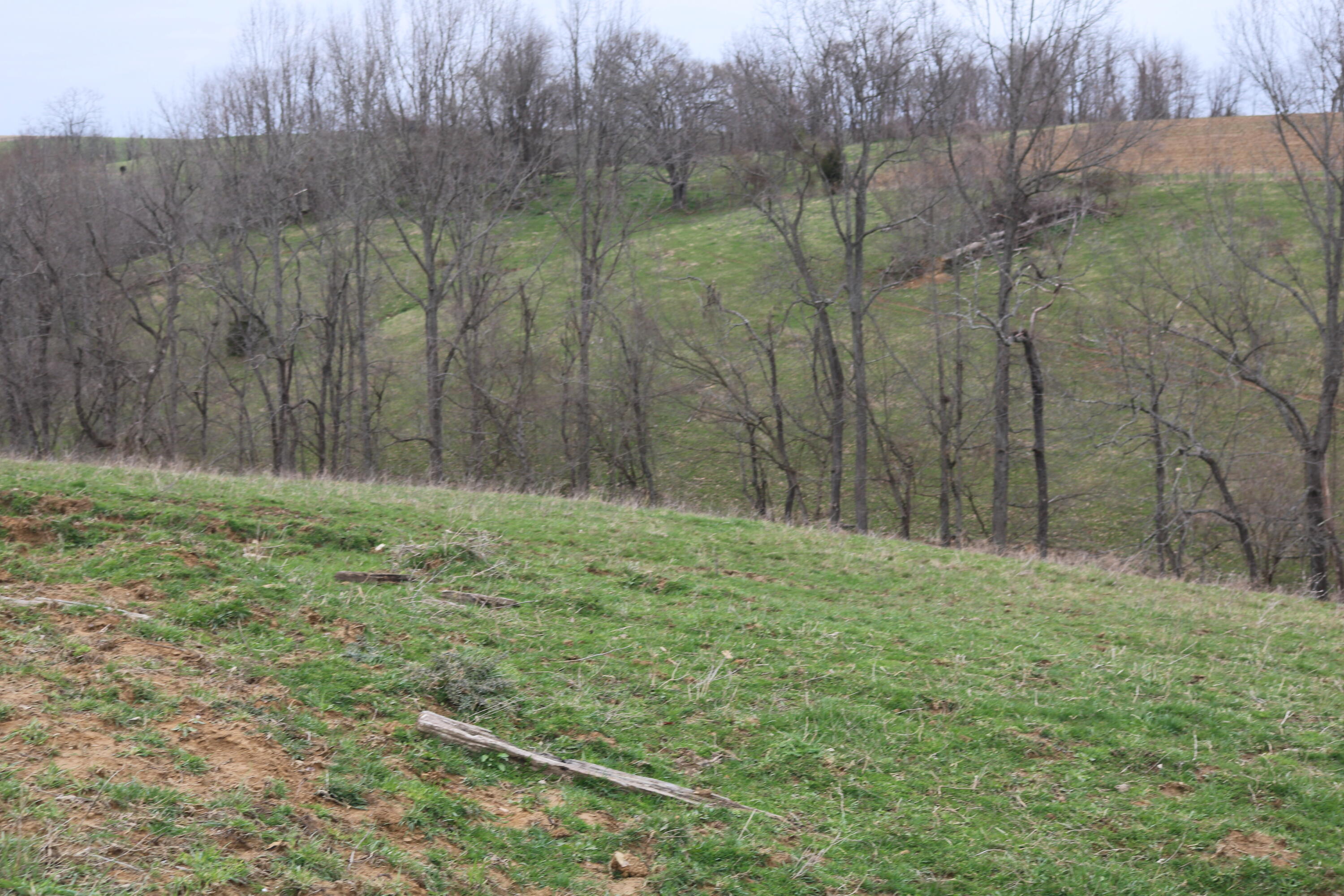 5807 Moorefield Road Carlisle, KY 40311 - Photo 50 of 60 IMG_3033