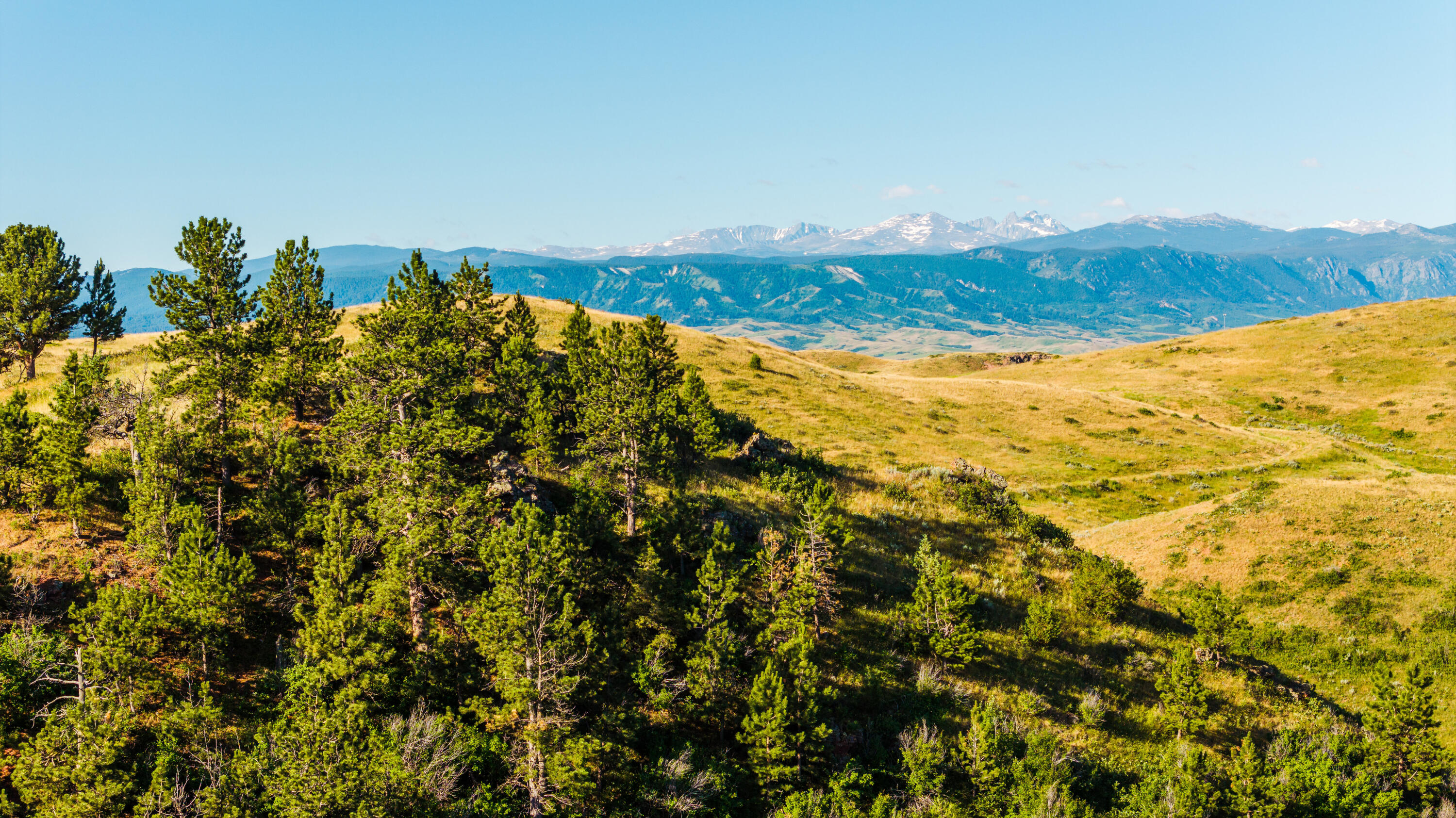 203 Upper Cat Road Sheridan, WY 82801 - Photo 1 of 1 001_dji_20240705075031_0501_d_75