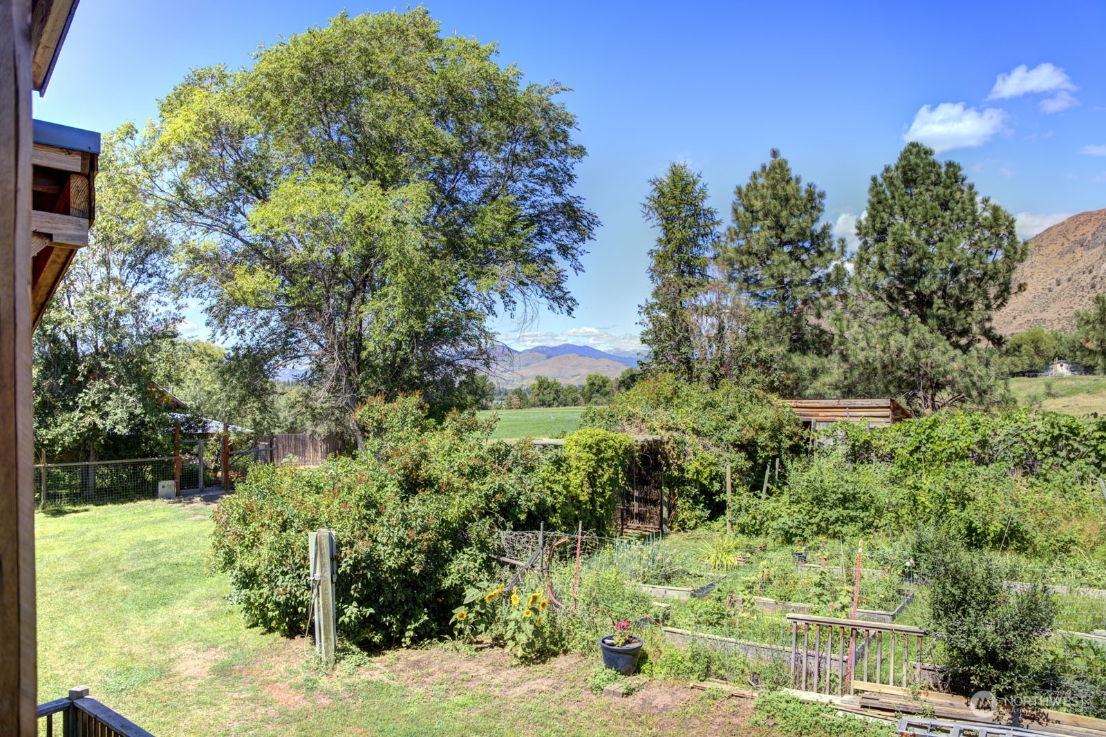 667 Twisp-Winthrop Eastside Road Winthrop, WA 98862 - Photo 10 of 40 Gallery Image 10