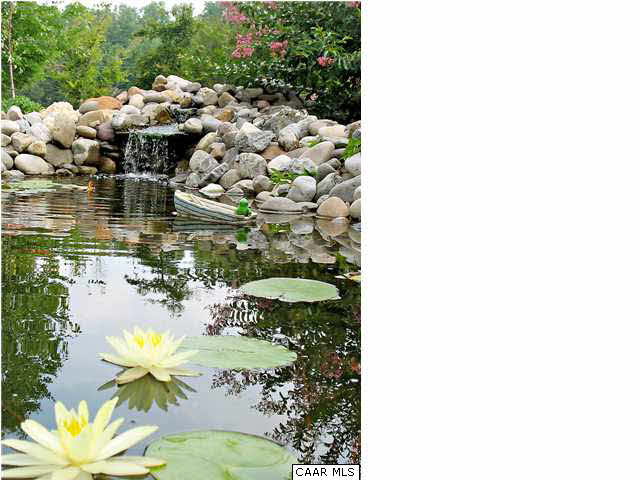 254 Dry Bridge Road Charlottesville, VA 22903 - Photo 5 of 26 a view of swimming pool with a yard