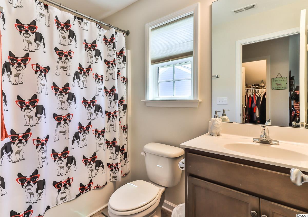 288 Palm Terrace Loop Conway, SC 29526 - Photo 18 of 28 Gallery Image 18