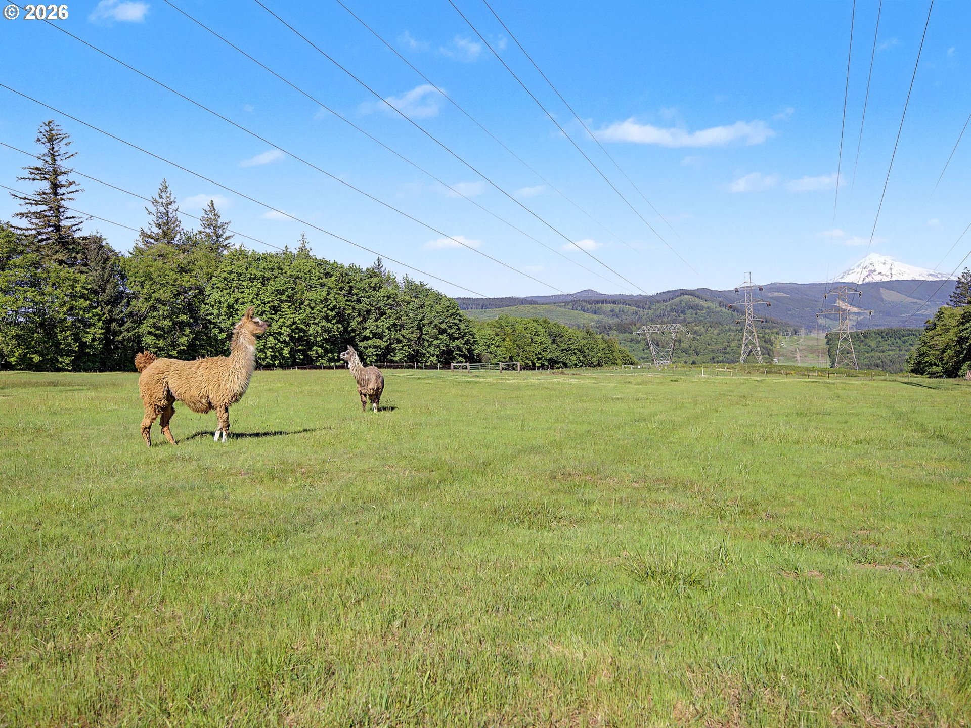 50995 Southeast Baty Road Sandy, OR 97055 - Photo 43 of 46
