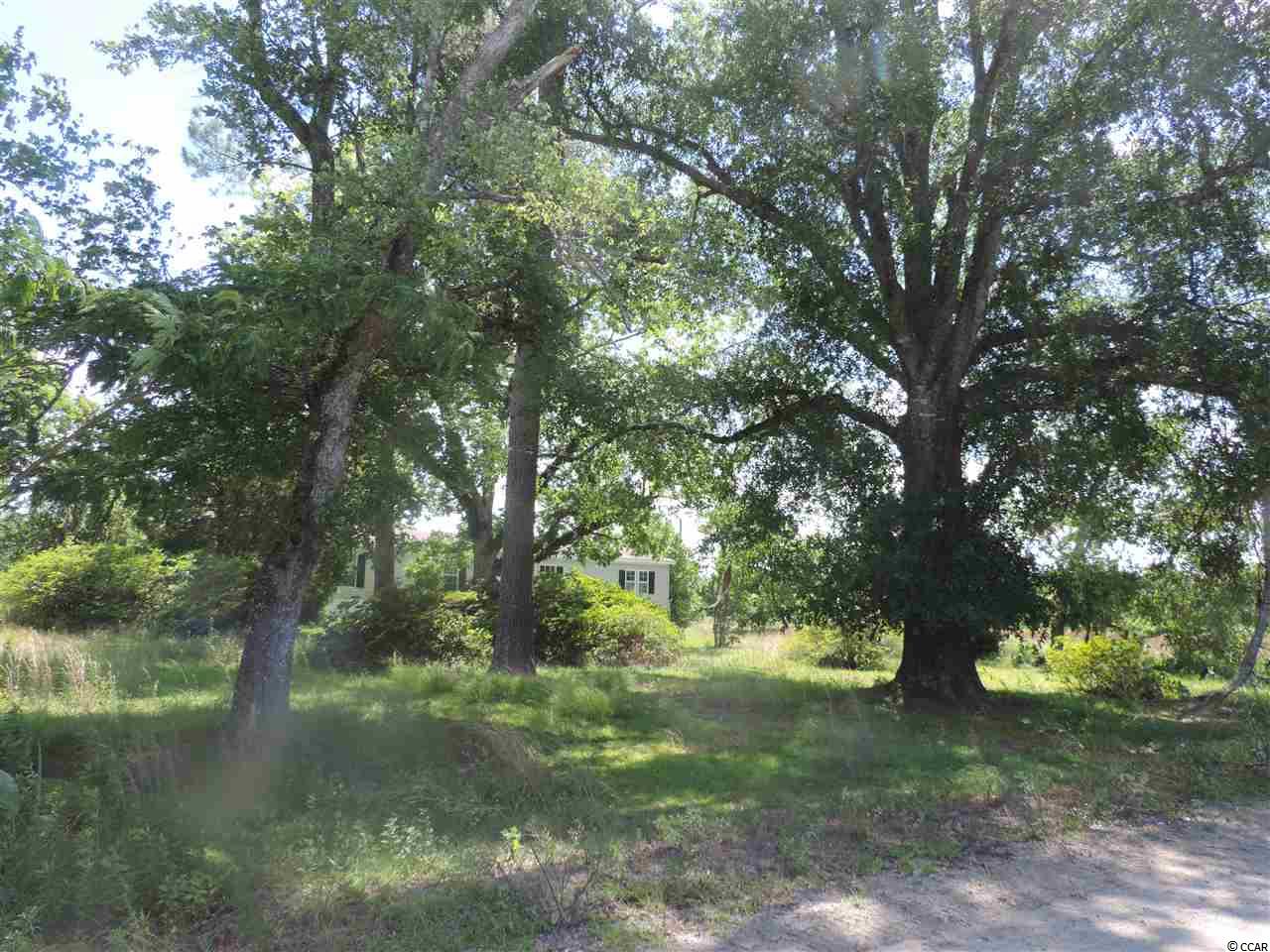 875 Wolf Pit Bay Road Nichols, SC 29581 - Photo 16 of 19 Gallery Image 16