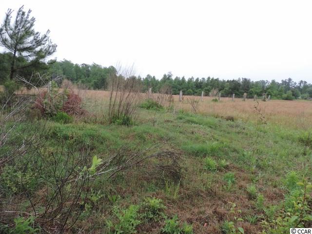 875 Wolf Pit Bay Road Nichols, SC 29581 - Photo 17 of 19 Gallery Image 17