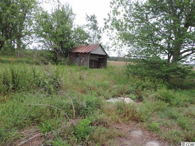 875 Wolf Pit Bay Road Nichols, SC 29581 - Photo 18 of 19 Gallery Image 18