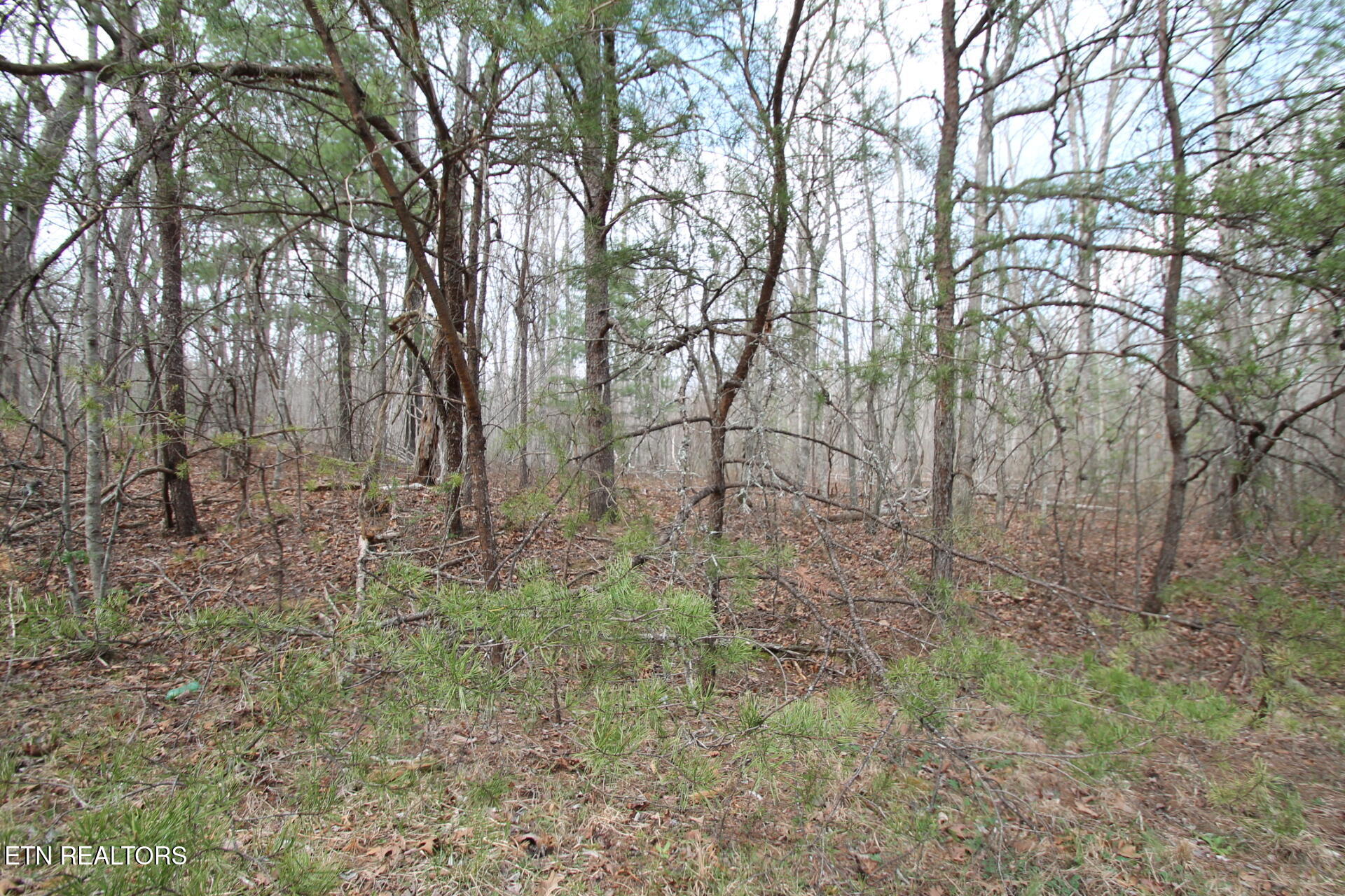 142 Windcrest Road Fairfield Glade, TN 37723 - Photo 4 of 4 level