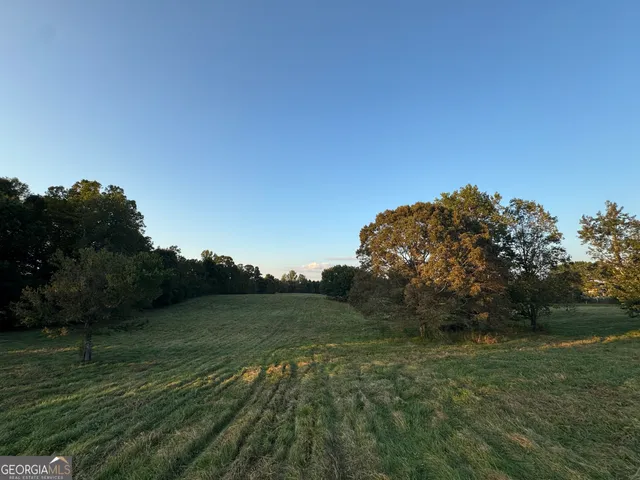 a view of a field with an trees
