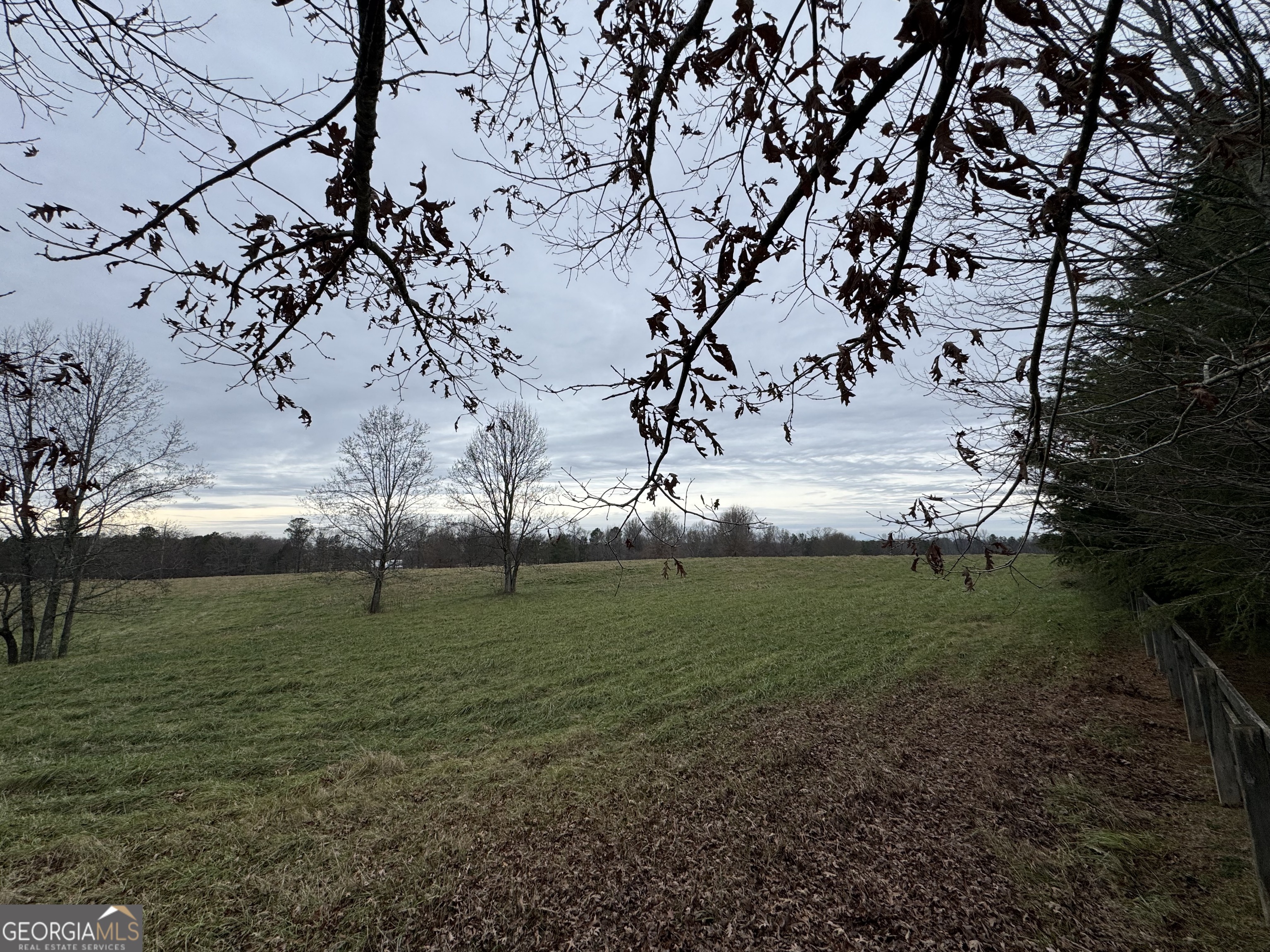 1045 Pleasant Hill Road Jasper, GA 30143 - Photo 15 of 20 a view of field with large trees