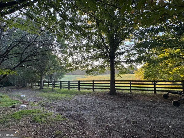 a view of park with bench and trees