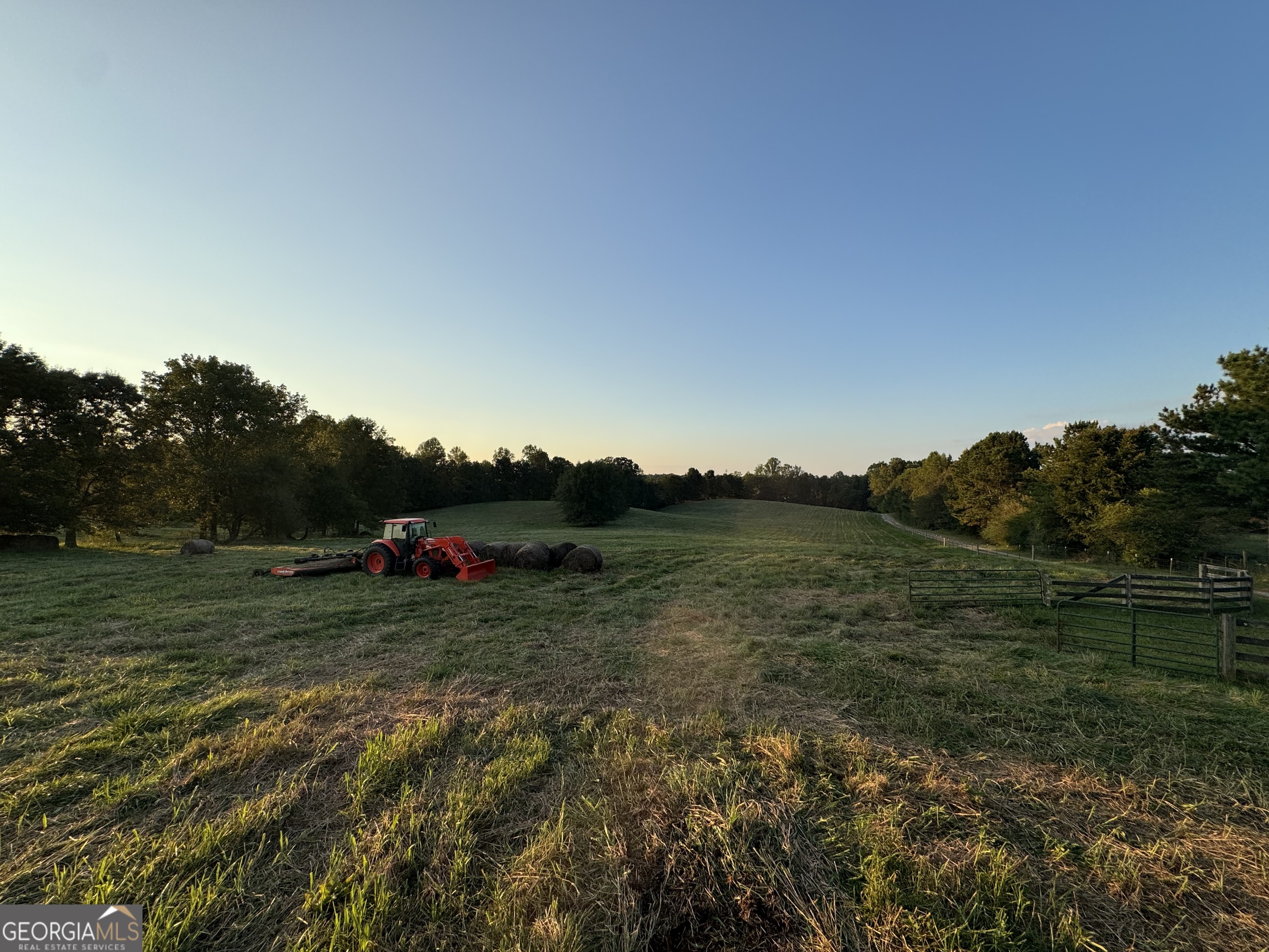 1045 Pleasant Hill Road Jasper, GA 30143 - Photo 8 of 20 a view of grassy field with trees