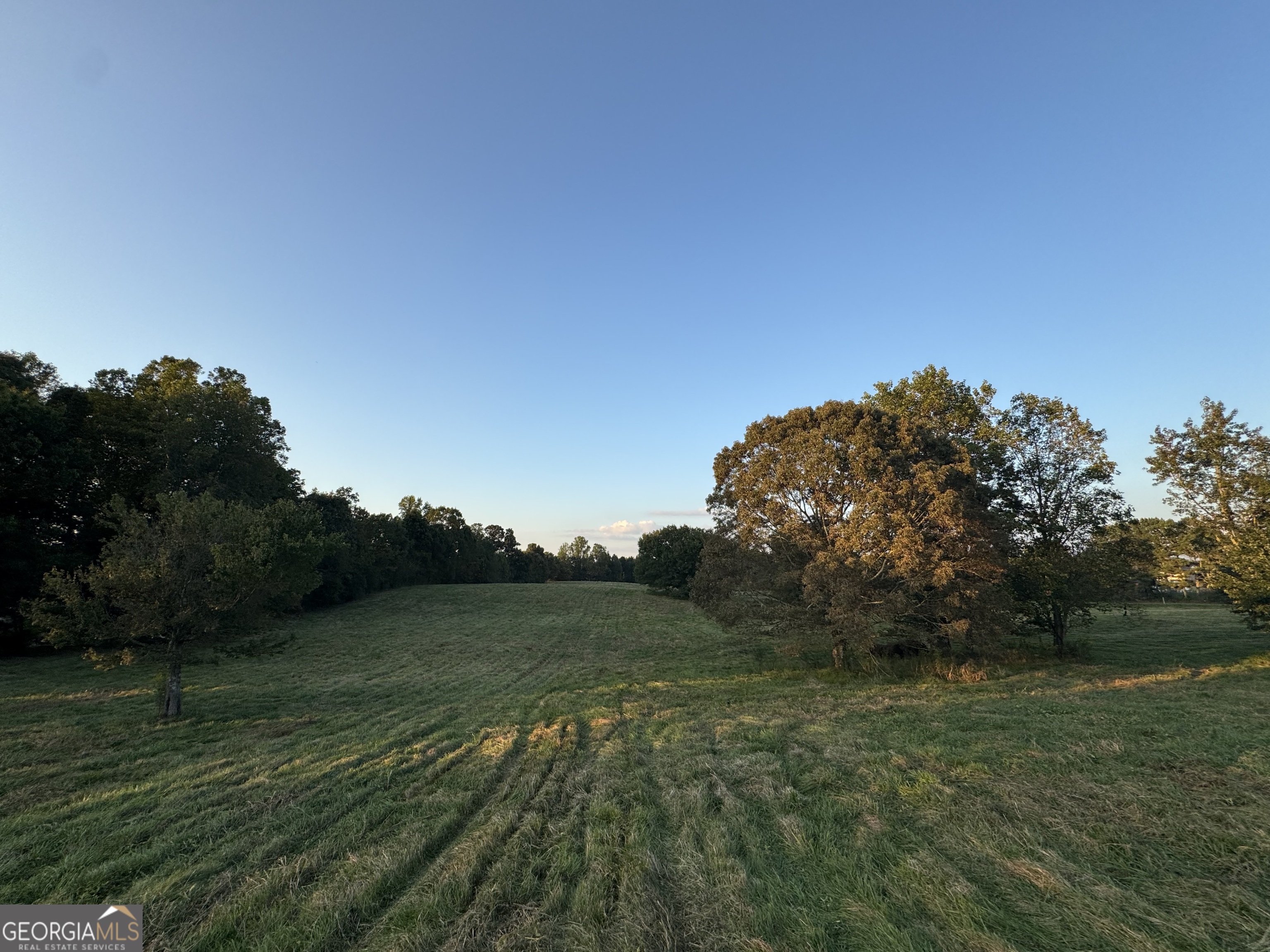 1045 Pleasant Hill Road Jasper, GA 30143 - Photo 9 of 20 a view of a field with an trees