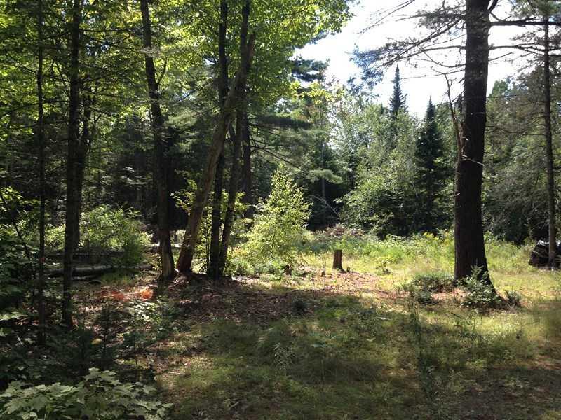 Lot 25 Cottrell Road Dixmont, ME 04932 - Photo 2 of 2 Land.