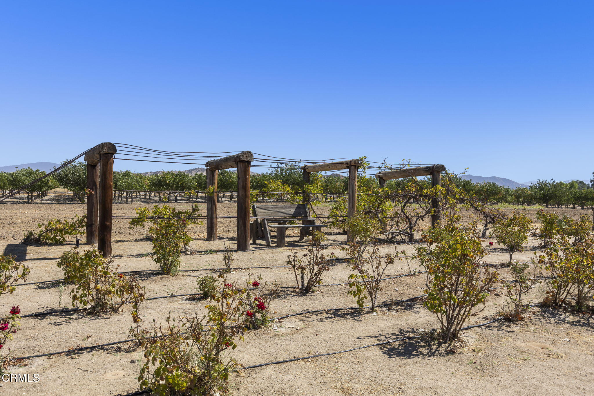 115 Quatal Canyon Road Maricopa, CA 93252 - Photo 23 of 61 32-web-or-mls-Upmarketmedia_115Qua-113