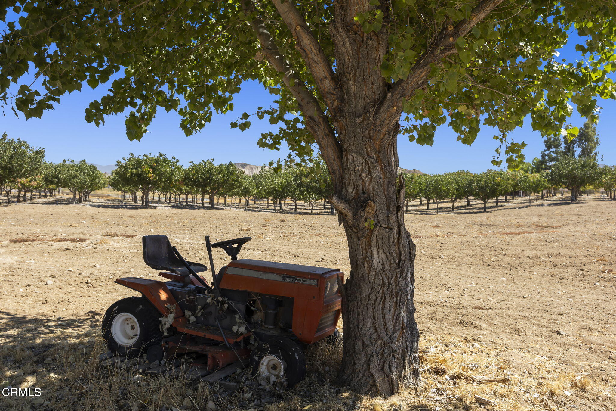115 Quatal Canyon Road Maricopa, CA 93252 - Photo 48 of 61 58-web-or-mls-Upmarketmedia_115Qua-218