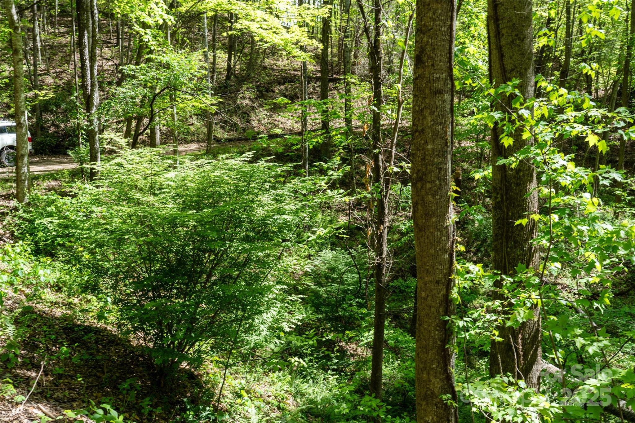 72 Lonesome Pnes Road Clyde, NC 28721 - Photo 16 of 25 a view of a lush green forest