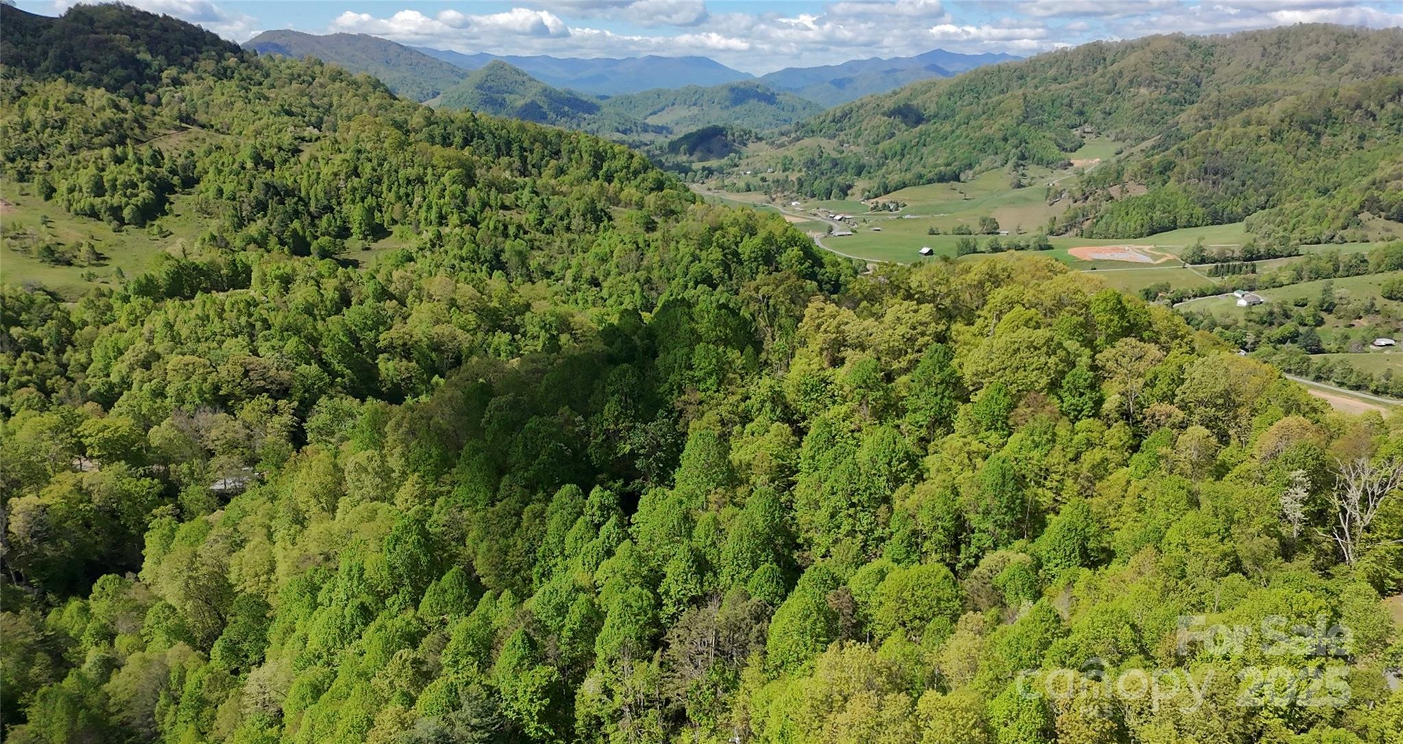 72 Lonesome Pnes Road Clyde, NC 28721 - Photo 20 of 25 a view of a lush green forest with lots of trees