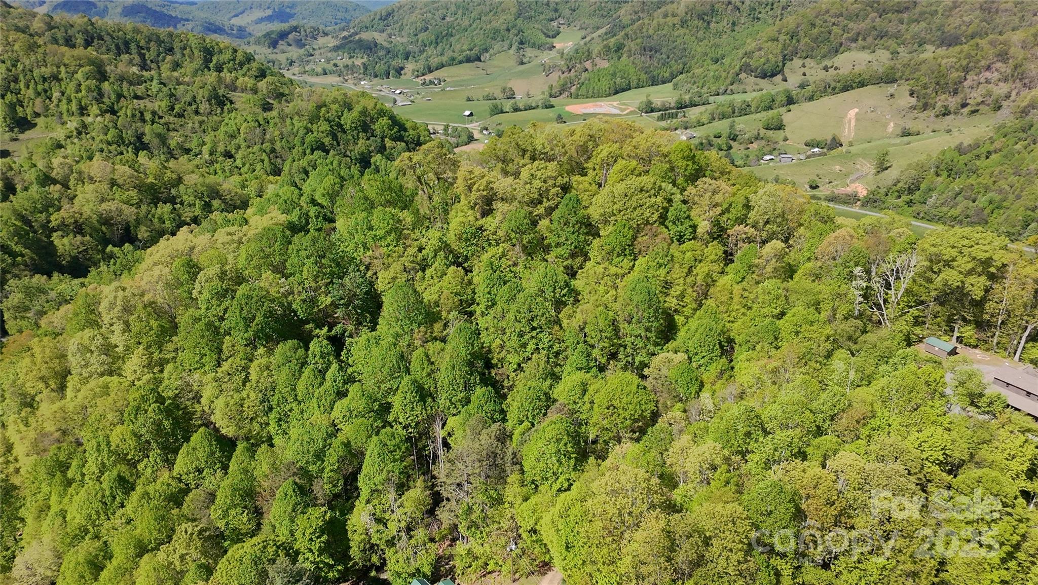 72 Lonesome Pnes Road Clyde, NC 28721 - Photo 22 of 25 a view of a big yard with plants and large trees