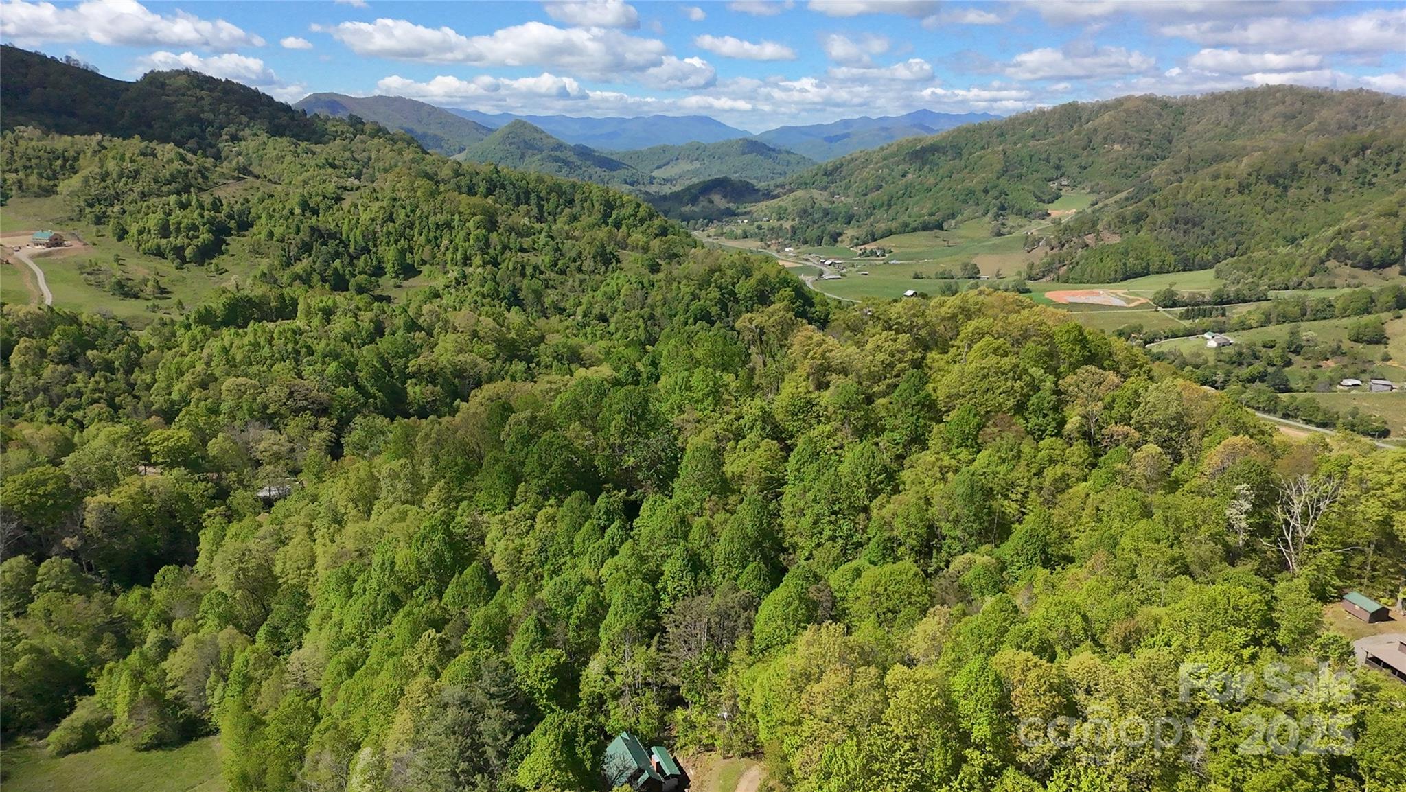 72 Lonesome Pnes Road Clyde, NC 28721 - Photo 23 of 25 a view of a lush green forest with lots of trees