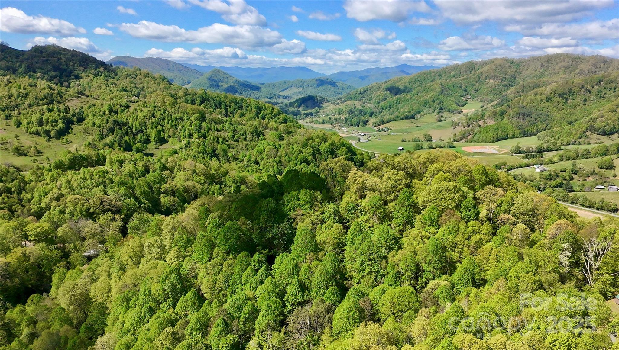 72 Lonesome Pnes Road Clyde, NC 28721 - Photo 25 of 25 a view of a lush green forest with a mountain