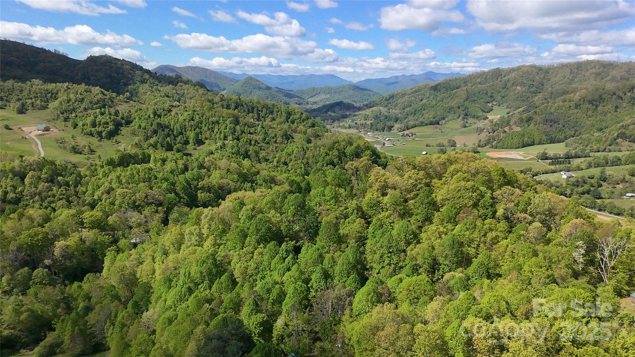 72 Lonesome Pnes Road Clyde, NC 28721 - Photo 6 of 25 a view of a city with lush green forest