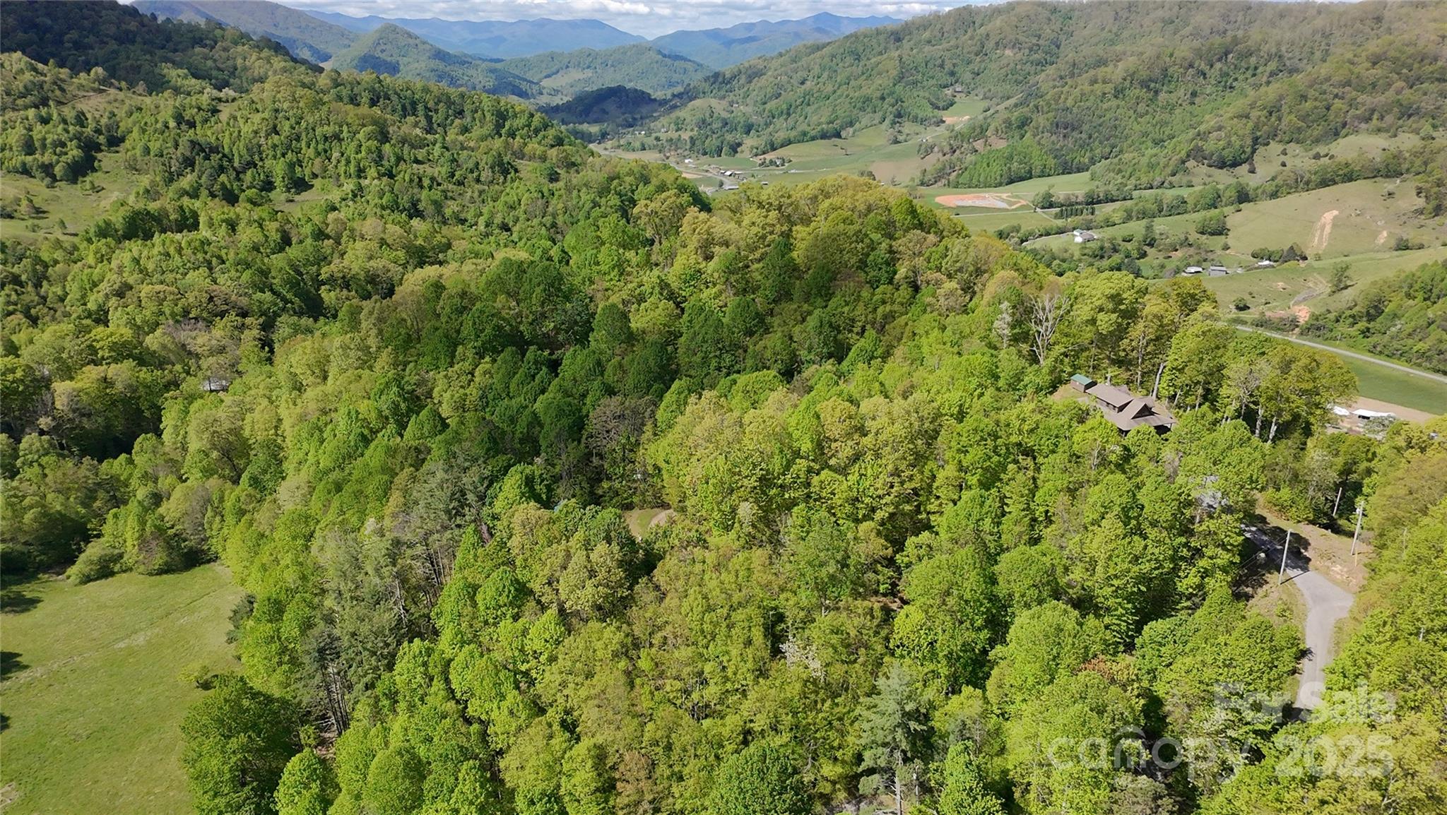 72 Lonesome Pnes Road Clyde, NC 28721 - Photo 7 of 25 a view of a lush green forest with a lush green forest